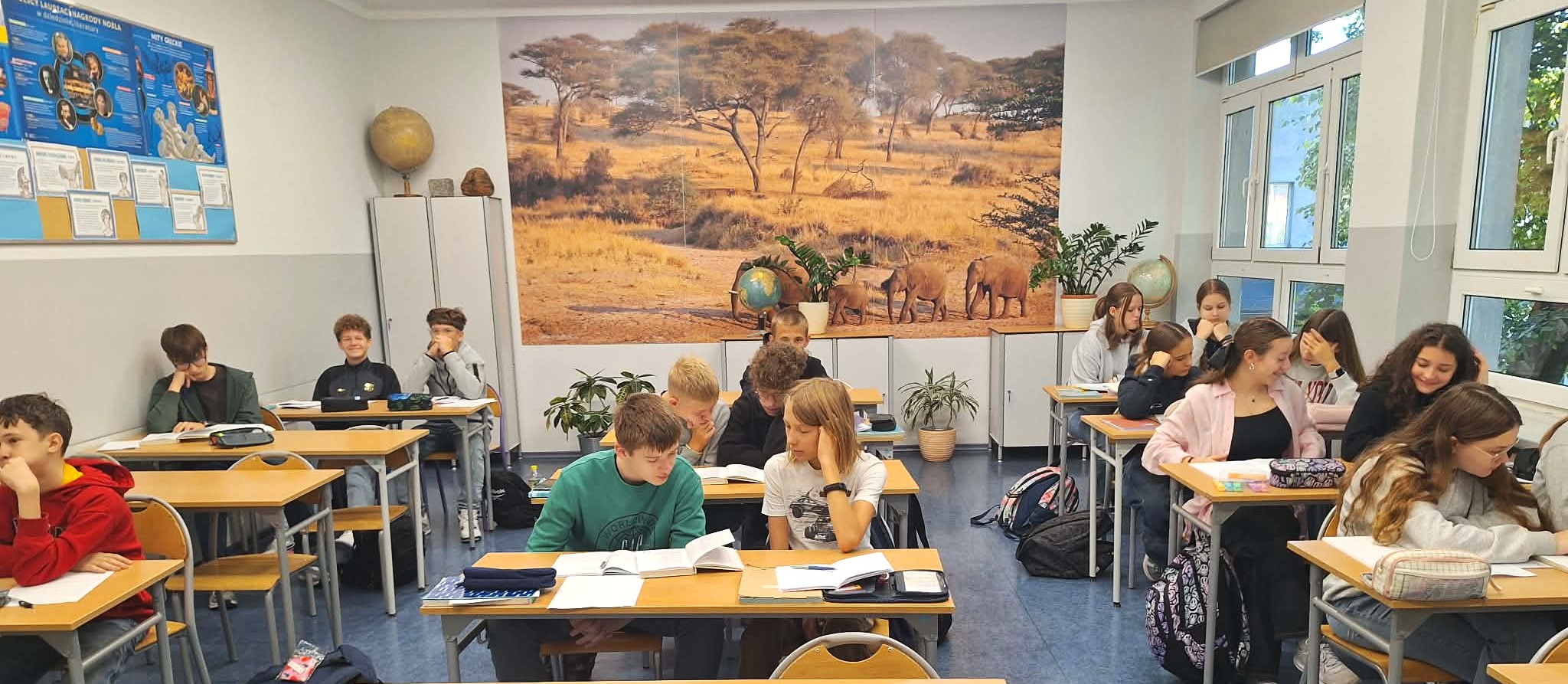 8a.jpg